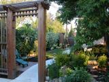 Trellises, Sidewalk and Landscaping